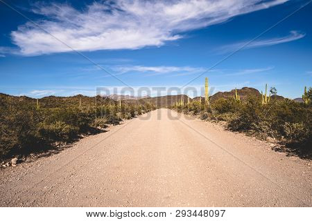 Ajo Mountain Drive, An Unpaved Road Through Organ Pipe Cactus National Monument In Arizona