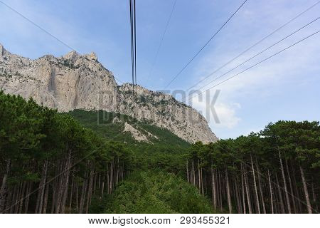 Ropes Of Suspended Transport Rise To The Top Of The Crimean Mountain Ai-petri. Clearing In The Pine 