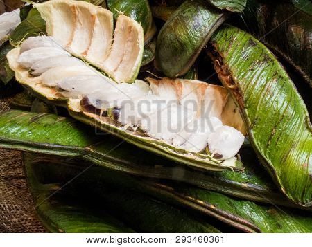 Exotic Tropical Fruit Called Guama (inga Edulis)