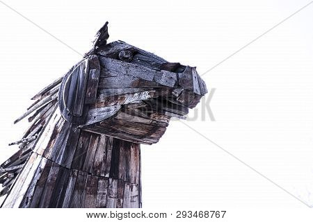 The Head Of The Wooden Trojan Horse