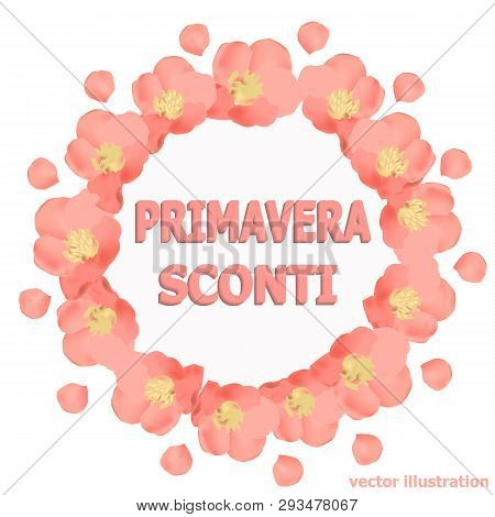 Bright Spring Background. Background With Beautiful Colorful Flowers. Vector Illustration.