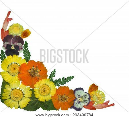 Bouquet Of Dried Pressed Flowers Isolated On White Background. For Use In Floristics, Scrapbooking A