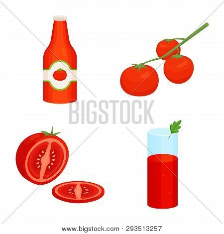 Isolated Object Of Organic And Food Sign. Set Of Organic And Diet Vector Icon For Stock.