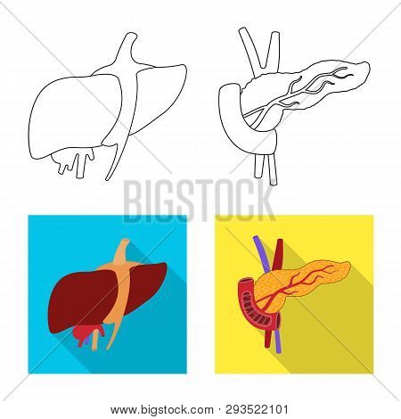 Vector Design Of Biology And Scientific Icon. Set Of Biology And Laboratory Vector Icon For Stock.