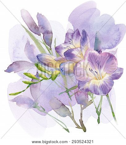 Lilac Flowers Background. Hand Drawn Illustration. Fullsize Raster Atrwork.