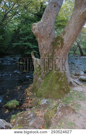 Agios Nikolaos Park Naousa Greece Europe