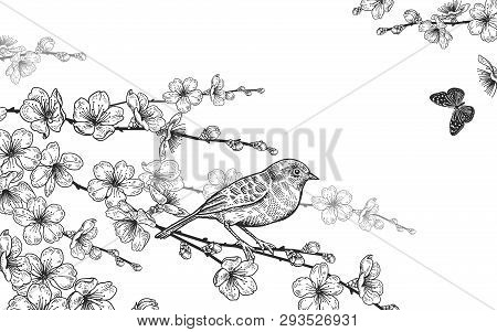 Vintage Card. Vector Illustration Of Spring Nature. Floral Background. Branches Of A Japanese Cherry