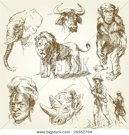 animales salvajes africanos