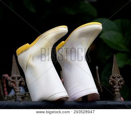 Pair Of White Dirty Rubber Rain Boots Drying On  Gate Isolated In Dark Background. Season Sale And M