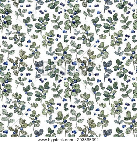 Watercolor Blueberry Plant Seamless Pattern On The White Background. Hand Drawn Stylized Berries Of 
