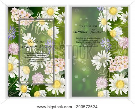 Set Of Vector Banners With Wildflower Flowers. Template For Greeting Cards, Wedding Decorations, Inv