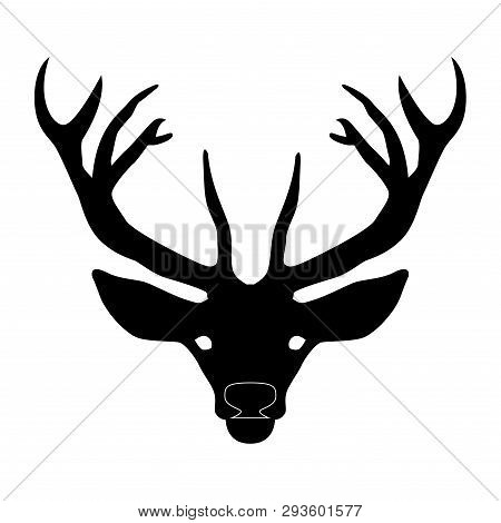 Deer Head With Horns On White Background