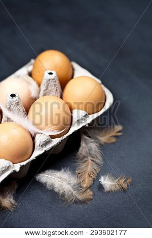 Farm chicken eggs in cardboard container and feathers closeup on black background. 