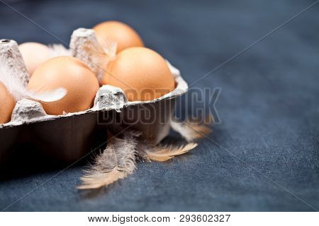 Farm chicken eggs in cardboard container and feathers closeup on black background. With copy space.
