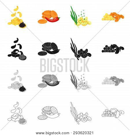 Vector Design Of Taste And Seasonin Icon. Collection Of Taste And Organic   Stock Vector Illustratio