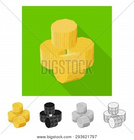 Isolated Object Of Piece And Cube Icon. Collection Of Piece And Jaggery Stock Symbol For Web.