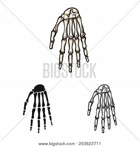 Vector Illustration Of Medicine And Clinic Icon. Set Of Medicine And Medical Vector Icon For Stock.