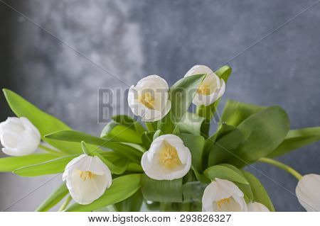 Bouquet Of White Tulips In A Vase On A Gray Background. Flowers As A Gift For Your Favorite Person. 