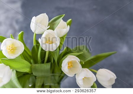 Bouquet Of White Tulips In A Vase On A Gray Background. Flowers As A Gift For Your Favorite Person. 