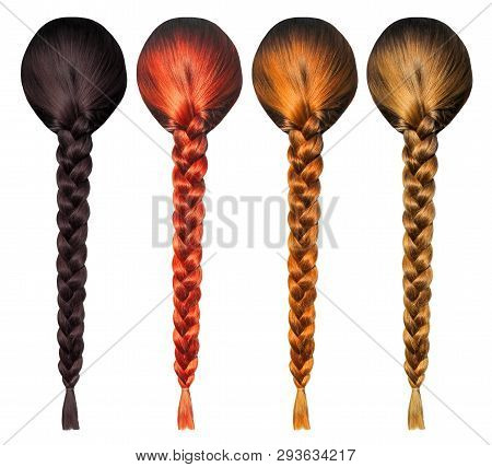 Female Hair Tress From Behind. Girls Plait Isolated Set. Blonde Brunette Brown Hair
