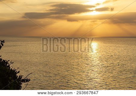 Bush Silhouette Against Pacific Ocean, With Sunrise Sunrays,