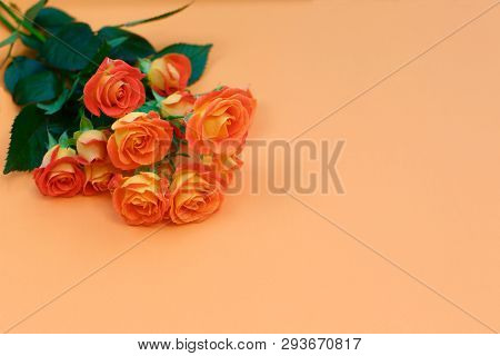 Background Of A Bouquet Of Beautiful Fresh Vivid Orange Roses Tinged With Red For Celebrating Valent