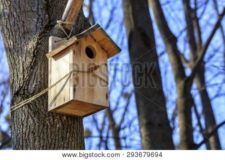 A New Nesting Box Is Attached With A Rope High On A Tree Trunk In A Spring Park.