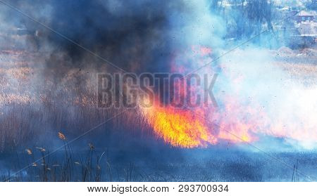 Raging Forest Spring Fires. Burning Dry Grass, Reed Along Lake. Grass Is Burning In Meadow. Ecologic