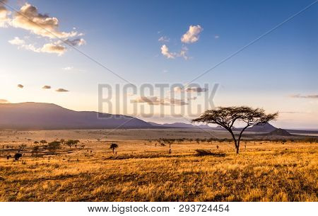 Amazing Sunset At Savannah Plains In Tsavo East National Park, Kenya
