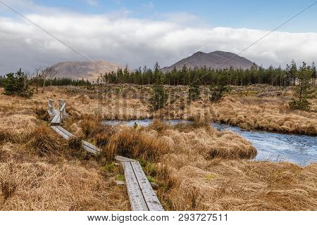 Western Way Trail In A Bog With Pine Forest And Mountains In Background