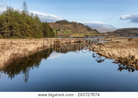 Forest And Vegetation At Western Way Trail In Lough Corrib