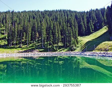 Lake Speichersee Or Der Speichersee Im Gebiet Warmtobel Or Speichersee Für Die Schneeanlage Wildhaus