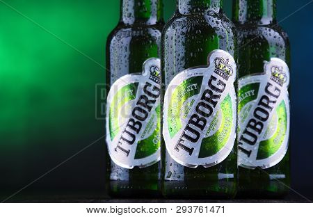 Bottles Of Tuborg Beer