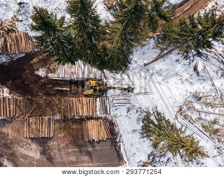 Lumberjack Timber With Modern Harvester Working In Forest. Top View Aerial Photo.