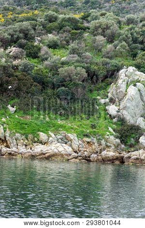 Ammouliani, Greece - April 3, 2015: Coastline Of Ammouliani Island, Athos, Chalkidiki, Central Maced
