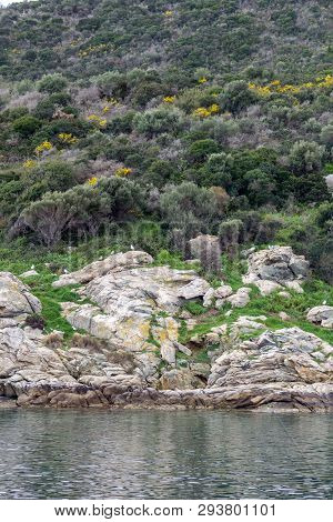 Ammouliani, Greece - April 3, 2015: Coastline Of Ammouliani Island, Athos, Chalkidiki, Central Maced