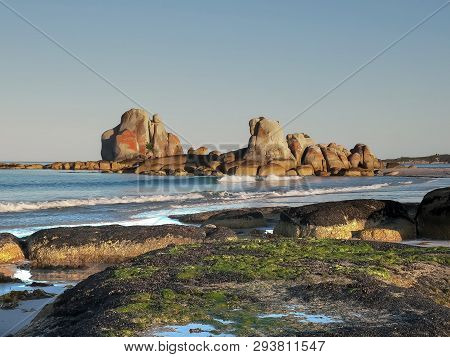 Close Shot Of Seaweed Covered Rocks At Picnic Rocks In Tasmania