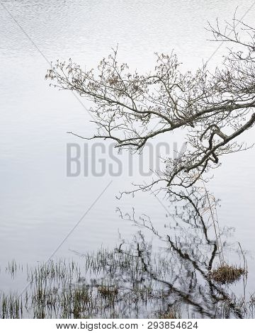Beautiful Landscape Image Of Loughrigg Tarn In Uk Lake District During Moody Evening In Spring