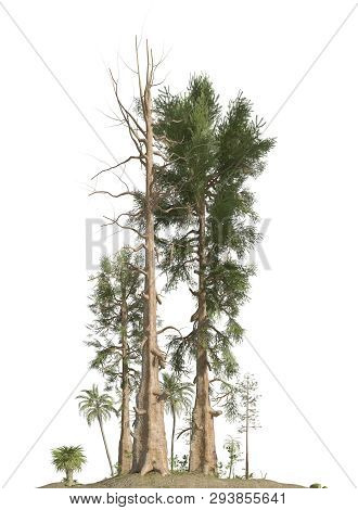 Trees Of The Mesozoic Era Isolated On White Background 3d Illustration