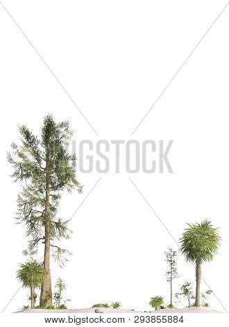 Trees Of The Mesozoic Era Isolated On White Background 3d Illustration