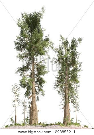 Trees Of The Mesozoic Era Isolated On White Background 3d Illustration