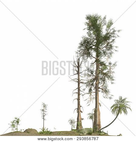 Trees Of The Mesozoic Era Isolated On White Background 3d Illustration