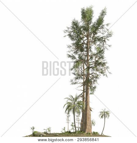 Trees Of The Mesozoic Era Isolated On White Background 3d Illustration