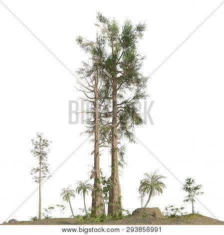Trees Of The Mesozoic Era Isolated On White Background 3d Illustration