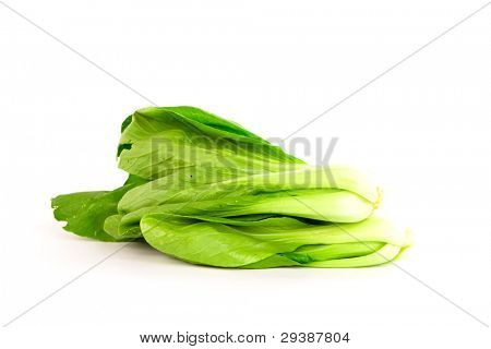 Bok choy (čínské zelí nebo Qing geng cai) izolované na bílém
