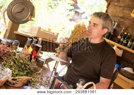 herbalist gardender  small business owner picking gathering fresh herbs for alternative medicine tea and poutting on balance