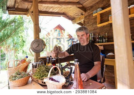 herbalist gardender  small business owner picking gathering fresh herbs for alternative medicine tea and poutting on balance