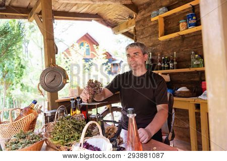 herbalist gardender  small business owner picking gathering fresh herbs for alternative medicine tea and poutting on balance