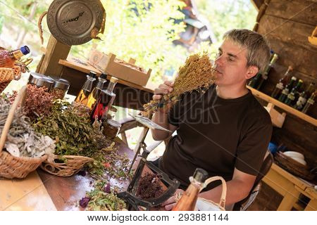 herbalist gardender  small business owner picking gathering fresh herbs for alternative medicine tea and poutting on balance