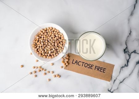 Lactose Free Milk Concept. Homemade Milk Of Nuts Or Soybeans, Non Dairy Milk From Organic Substitute